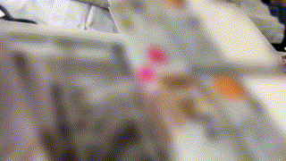 shinki222【H220ちゃん】無料エロ動画AV宮西ひかる エロGIF 5