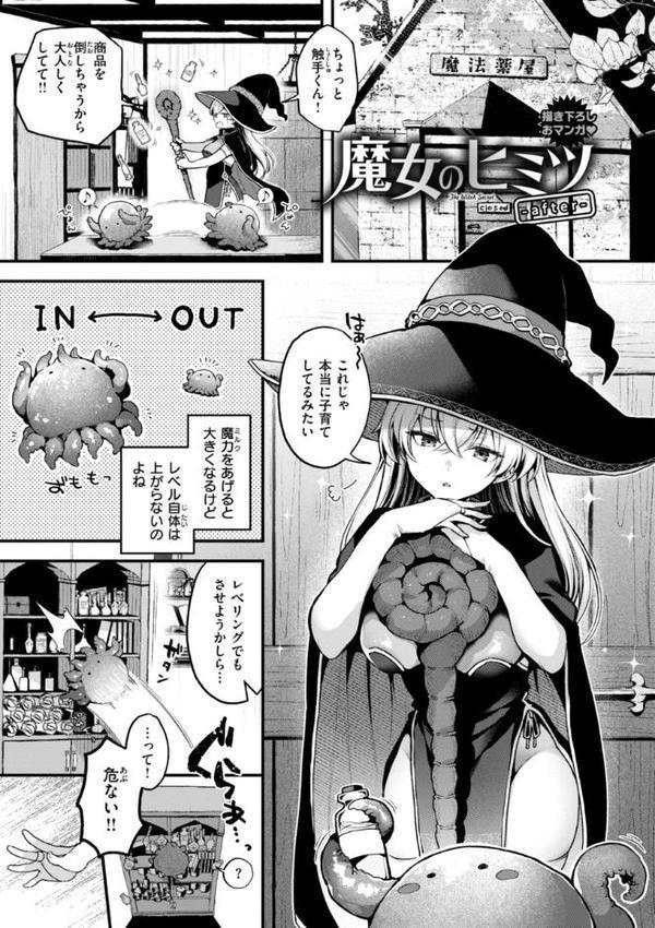 ここは淫らな異世界です。 エロ画像 043