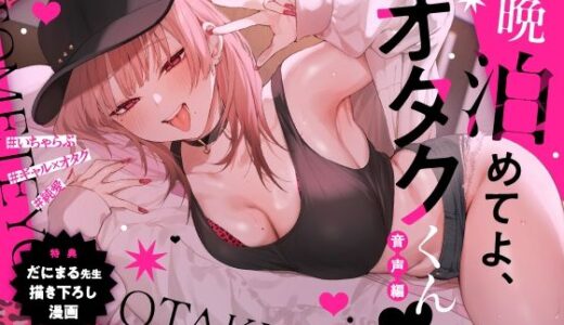 一晩泊めてよ、オタクくん 音声編 無料エロ漫画 raw