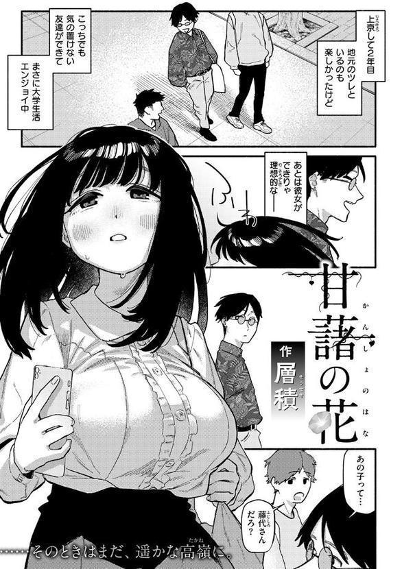 甘藷の花
