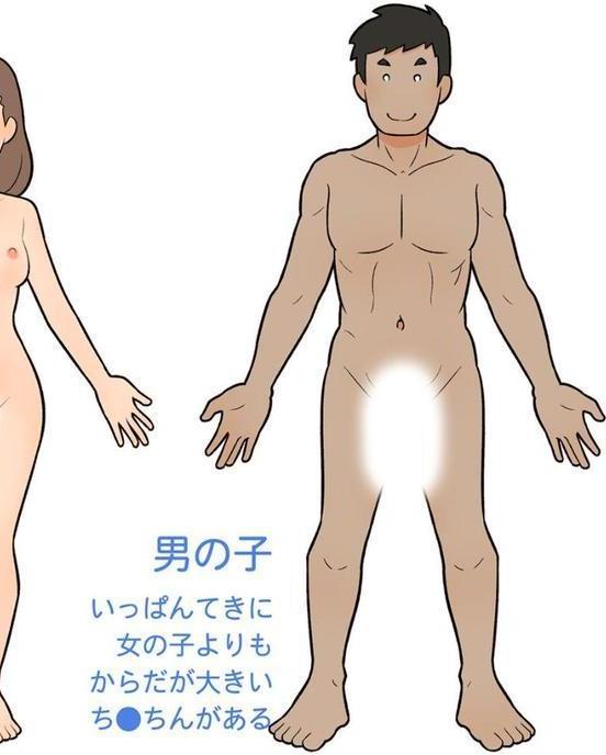 わたしたちのからだ 〜こどもができるしくみ〜
