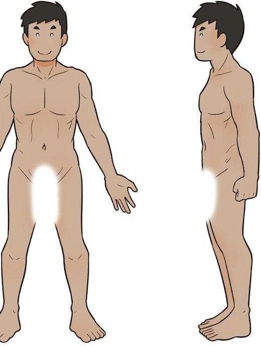 わたしたちのからだ 〜こどもができるしくみ〜