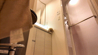 dejo001【すみれ】｜橘京花